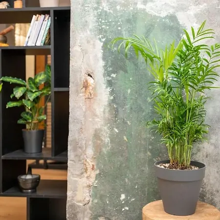 Loft Urban Garden: 4 People - Wifi Fiber - Terrace Apartmán Grenoble
