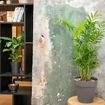 Loft Urban Garden: 4 People - Wifi Fiber - Terrace דירה גרנובל