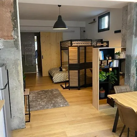 Апартаменти Loft Urban Garden: 4 People - Wifi Fiber - Terrace Гренобль