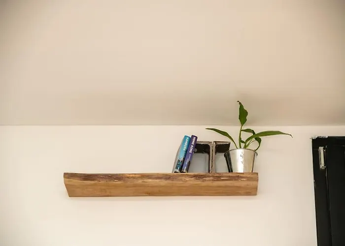 アパート Loft Urban Garden: 4 People - Wifi Fiber - Terrace グルノーブル