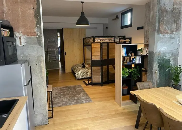 アパート Loft Urban Garden: 4 People - Wifi Fiber - Terrace グルノーブル